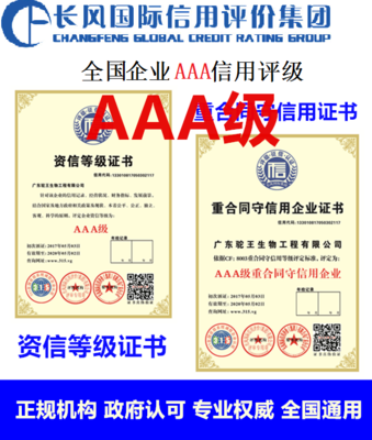 茂名企業(yè)信用等級(jí)申辦指南與市場調(diào)查分析